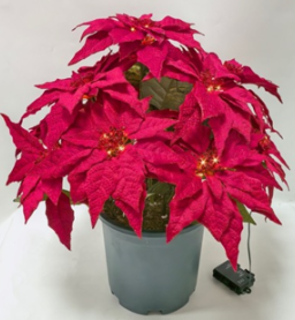 Poinsettia Urn